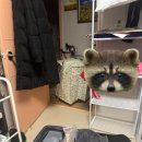 서현봄약국 이미지