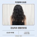 강남 히피펌 반함헤어 강남점 케이실장님 추천후기