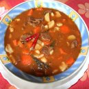 GOULASH - 소고기와 채소를 넣고 만든 스튜 - beef stew with onion, paprika, and caraway 이미지