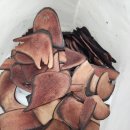 맑은숲한의원 이미지