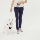 달래동물의료센터 이미지