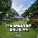 풀꽃마중 | 단양 가족 펜션 추천 풀꽃나무 펜션 풀하우스 이용 후기