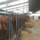 푸른들농장 이미지