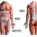 마이필라테스피티101