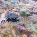 알선농원 | 광양 우림필유아파트까지 김해공항콜택시 예약운행