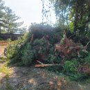 비움리싸이클링 이미지