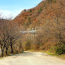 영천시 한빛전력 신축공사 | 2020.11.05 - 중앙선 서원주~봉양 구간의 마지막 가을을 기념하다.