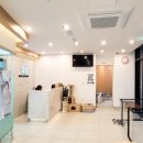 새은평동물의료센터 이미지