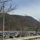 사람들밀양삼랑진1호 | 제16회 밀양 삼랑진 딸기시배지 축제 다녀온 후기