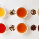 티소믈리에 양성과정 이미지