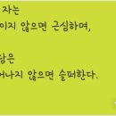 장자길 네이버블로그