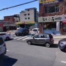 대구 고양이 미용 밀꼬냥 이미지