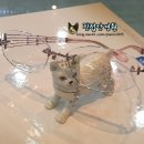 샤르망안경원 이미지