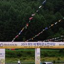 57개국 태권도인 평화도시 평창서 축제 한마당 이미지