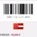 화정점기아오토큐 네이버블로그