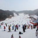 파인리조트 이미지