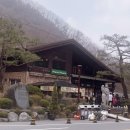 힐링(만인산) 이미지