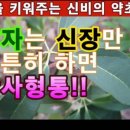 어름