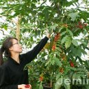 김종운농장 이미지