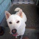 지에스25창동평화점 이미지