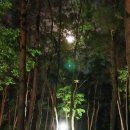 내원자동차야영장 | 지리산경남 내원자동차야영장 캠핑후기/바보돼지 캠핑