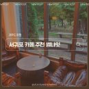 동홍북로 | 서귀포 감성 브런치 카페 추천｜야자수 정원 카페 ‘썸나잇’에서 즐긴 여유로운 오후