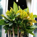 착한7주유소 이미지