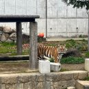 일동사 이미지
