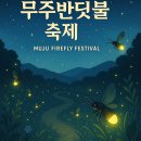 반딧불 티스토리