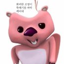 루피 인형뽑기방 이미지