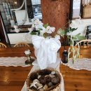 홍제동 | 강릉 홍제동카페/ 강릉 홍제동 디저트 어썸 후기!