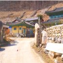 만덕사 Daum카페