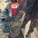 단강낚시터 이미지