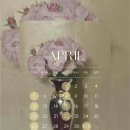 더베이지의원 이미지