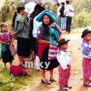 마야 카카오 검색결과