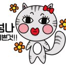 디자인매건 이미지