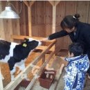 현선목장 이미지