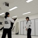 서린7태권도장 이미지