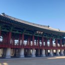 태화루그집 이미지