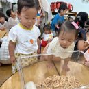 신기한나라어린이집 이미지