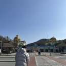 대전오월드 | 대전 오월드 후기 | 아기랑 가볼만 한 곳 추천