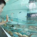 국립해양박물관 이미지