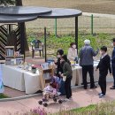 시립박물관 노리숲길 이미지