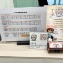 예쁘개해줄개 | 미니 비숑 미용 _ 화정역 애견미용 강력추천!!