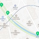 온천천시민공원 붓드레아 이미지