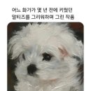 강아지그림