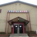 용인랜드숲속캠핑장 이미지