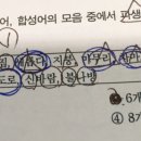 파생어 합성어 질문입니다 ㅎ 이미지