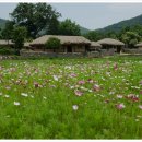 죽전마을회관 이미지