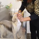 바우개펜션 이미지